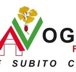 ERBAVOGLIO FIORISTA