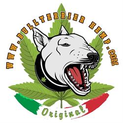 BullterrierHemp
