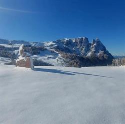 Alpin Sports Company