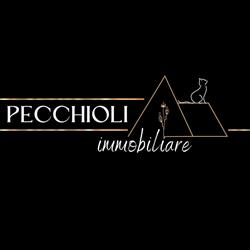 Agenzia Immobiliare Pecchioli