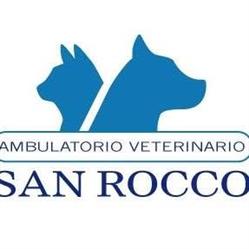 Ambulatorio Veterinario San Rocco