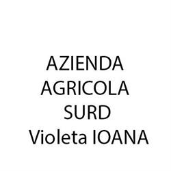 Azienda Agricola Surd Violeta Ioana