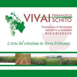 Vivaischito