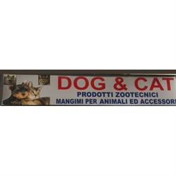 dog e cat