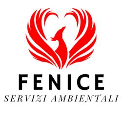 Gruppo Fenice