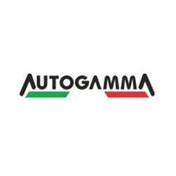 Autogamma