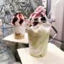 Gallery Professionale