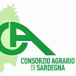 Siliqua Consorzio Agrario di Sardegna