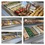 Gallery Professionale