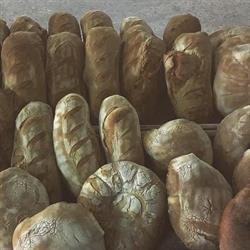 Panetteria del Volturno