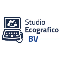 STUDIO ECOGRAFICO BV