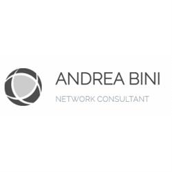 Andrea Bini - Network & IT Consultant