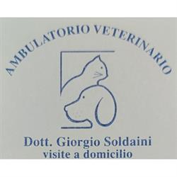 Ambulatorio Veterinario  Soldaini Dott. Giorgio