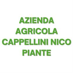 Azienda Agricola Cappellini Nico Piante
