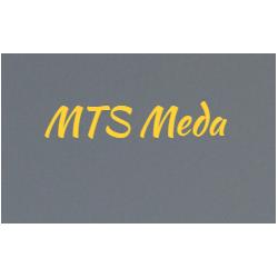 Erba Sintetica M.T.S.