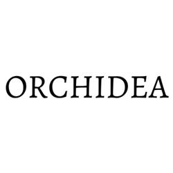 Orchidea