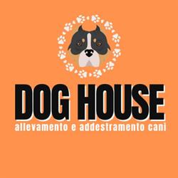 Dog House