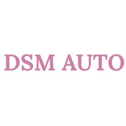 D.S.M. SERVIZI