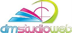 Realizzazione Siti Web Verona e Posizionamento Siti Internet - dmstudioweb
