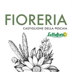 Fioreria Castiglione della Pescaia