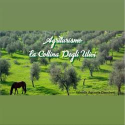 Agriturismo La Collina Degli Ulivi