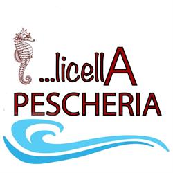 Pescheria Licella