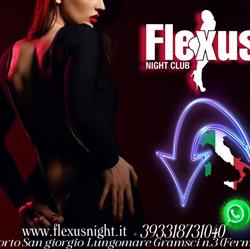 Night-club-flexus
