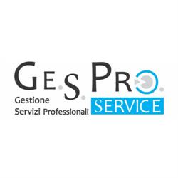 Ge.S.Pro Service di Daniele Vinci