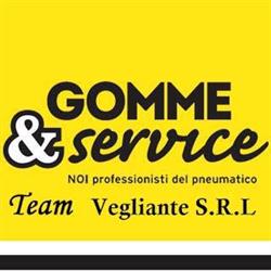 Team Vegliante Srl