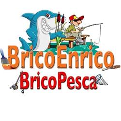 Bricoenrico