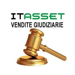 ITAsset advisory services