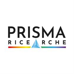 Prisma Ricerche S.r.l.