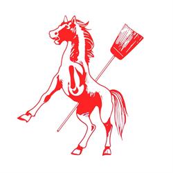 Cavallo Brooms and Brushes Mop