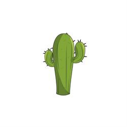 Cactus Holding SRL