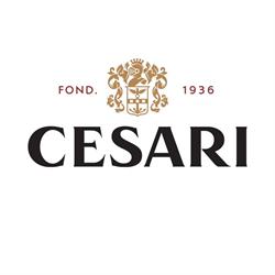 Gerardo Cesari - Cantina di Fumane