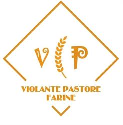 Violante Pastore S.r.l