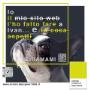 agenzia web-Como