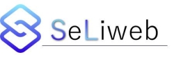 Seliweb