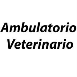 Ambulatorio Veterinario dott Elena Fornasarig
