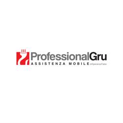 Professional Gru