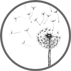 Beatrice Lencioni Counselor Relazionale & Life Coach