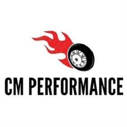 CM PERFORMANCE SRLS