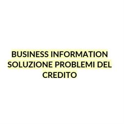 Business Information - Soluzione Problemi del Credito
