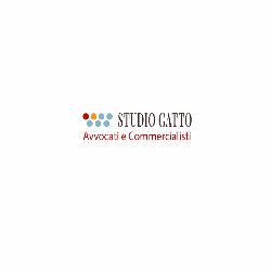 Avvocato Alvise Bucciol
