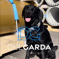 DEL GARDA SABBIATURE SRL
