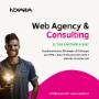Nexara Web Agency & Consuting Cosenza