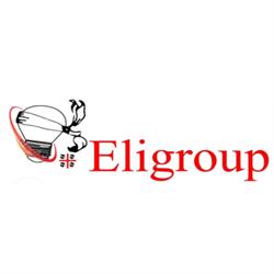 Eligroup Costruzioni Elettriche