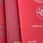 Tesi rossa copertine tesilab