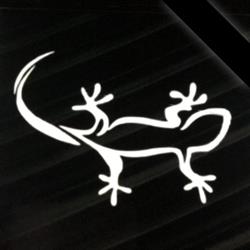 Officina GekoCar Riparazione Auto, Wrapping, Elettrauto, Gommista e Carrozzeria