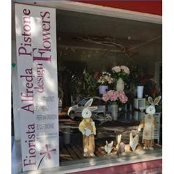 Fiorista Alfreda Pistone Design Flowers
